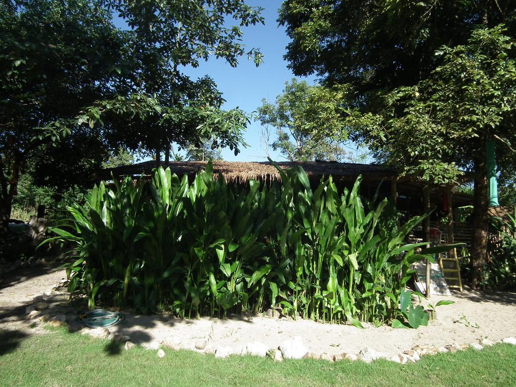 Pai Bamboo Hut Hotel Bagian luar foto