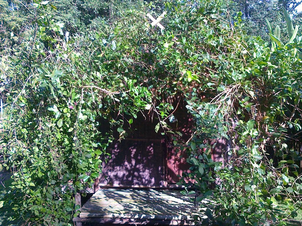 Pai Bamboo Hut Hotel Ruang foto