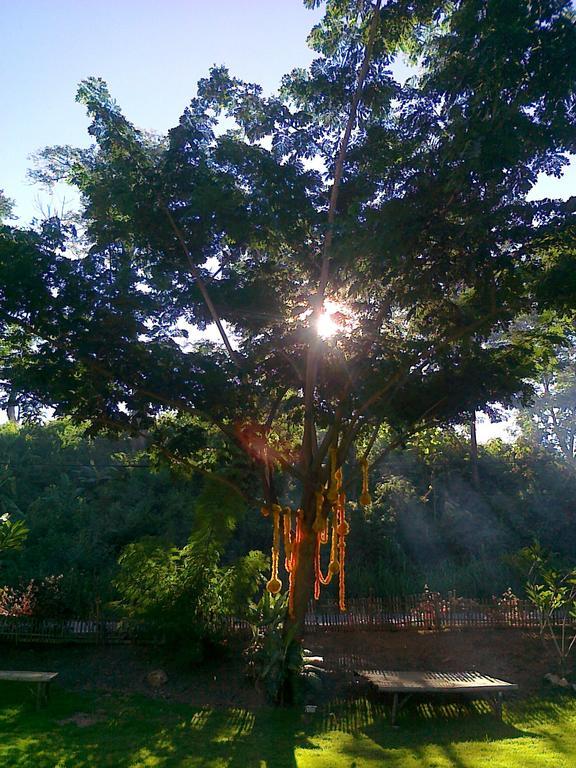 Pai Bamboo Hut Hotel Bagian luar foto
