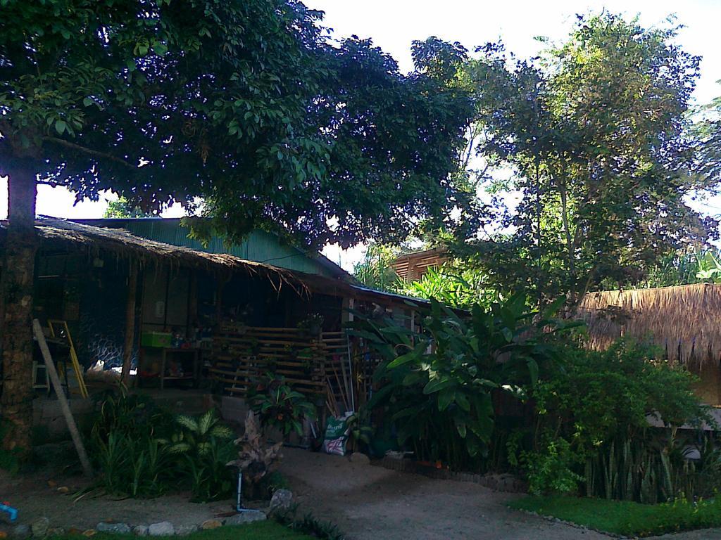 Pai Bamboo Hut Hotel Bagian luar foto