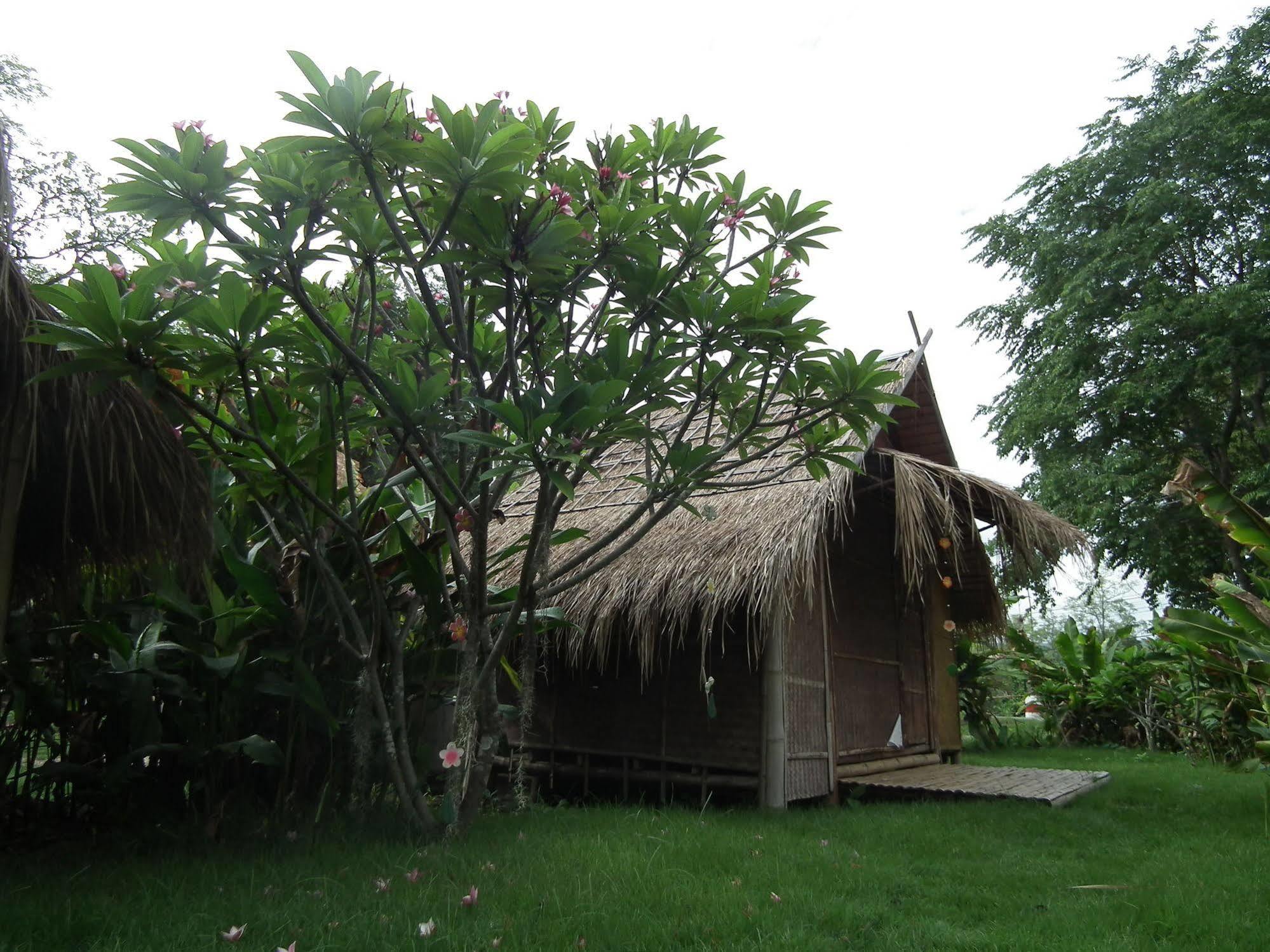 Pai Bamboo Hut Hotel Bagian luar foto